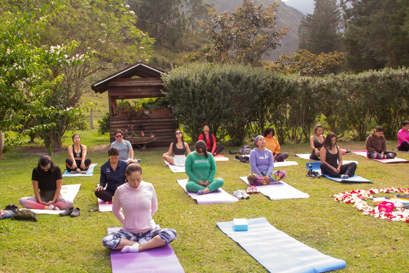 Meditación en grupo al aire libre